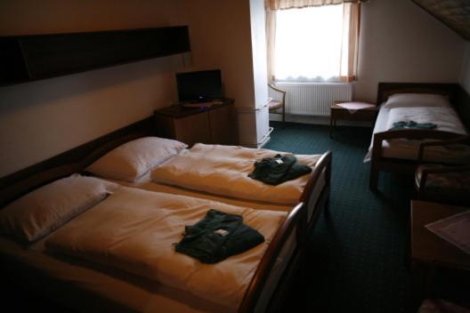 Hotel Star 4,5 Loučná pod Klínovcem Camera foto
